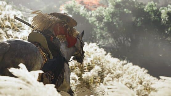 Ghost of Tsushima screenshot 9
