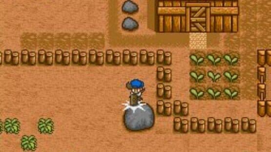 Harvest Moon screenshot 7
