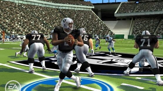 Madden NFL 09 screenshot 5