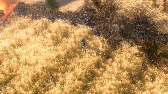 Grim Dawn screenshot 5