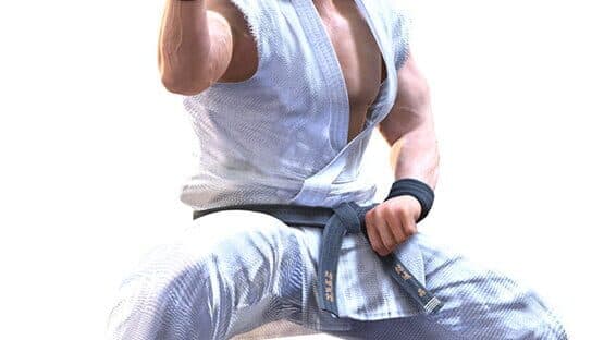Virtua Fighter 5 artwork 1