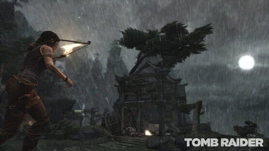 Tomb Raider screenshot 5