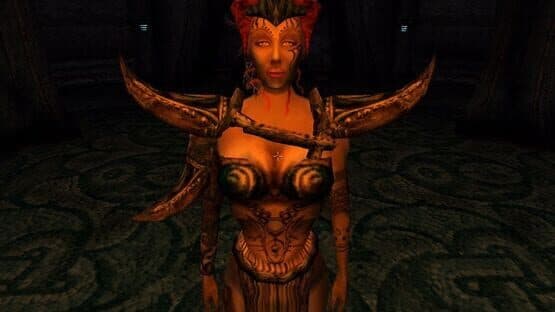 The Elder Scrolls III: Tribunal screenshot 4