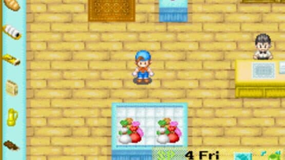 Harvest Moon: Friends of Mineral Town screenshot 5