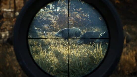TheHunter: Call of the Wild screenshot 8