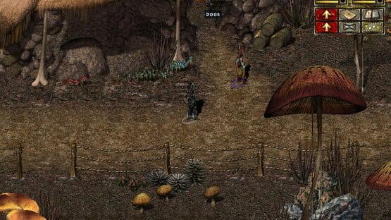 Beyond Divinity screenshot 3