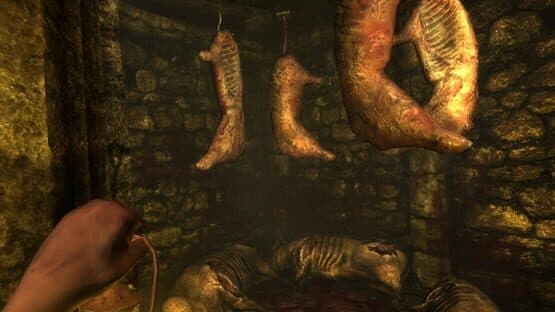 Amnesia: Collection screenshot 3