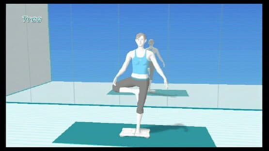 Wii Fit screenshot 11