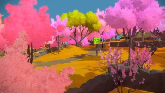 The Witness screenshot 4