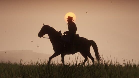 Red Dead Redemption 2 screenshot 6