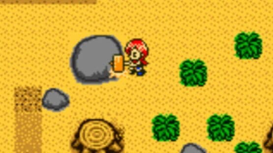 Harvest Moon 2 GBC screenshot 7
