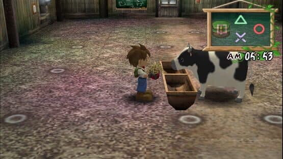 Harvest Moon: A Wonderful Life Special Edition screenshot 3