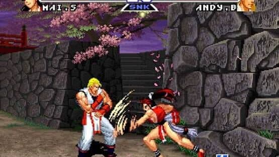 Real Bout Fatal Fury Special screenshot 2