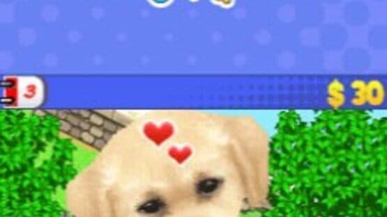 Me and My Dogs: Friends Forever screenshot 4