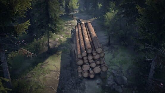 Spintires screenshot 3