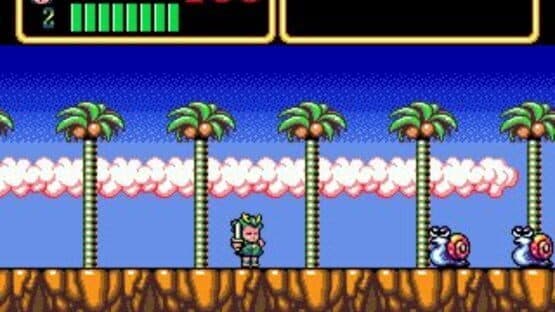 Wonder Boy III: Monster Lair screenshot 10