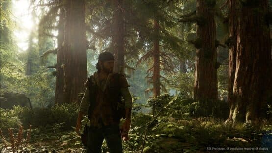 Days Gone screenshot 6