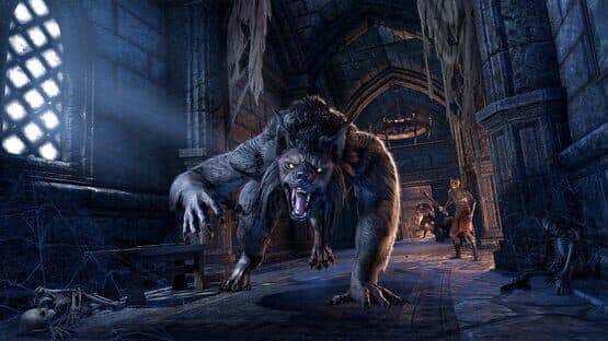 The Elder Scrolls Online screenshot 12