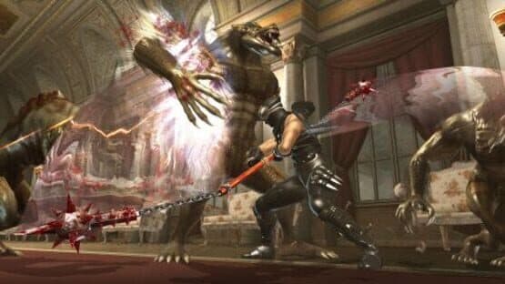 Ninja Gaiden II screenshot 3