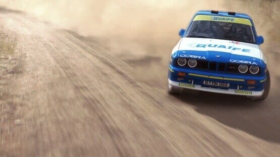Dirt Rally screenshot 2