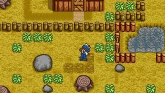 Harvest Moon screenshot 11