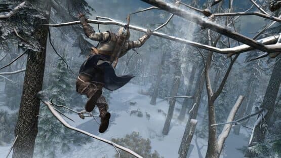 Assassin's Creed III screenshot 10