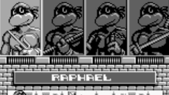 Teenage Mutant Ninja Turtles II: Back from the Sewers screenshot 2