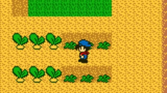 Harvest Moon GB screenshot 9