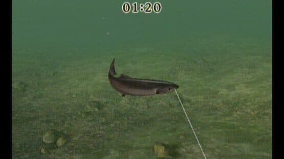 Reel Fishing Challenge screenshot 9