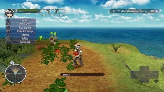 Rune Factory: Tides of Destiny screenshot 2
