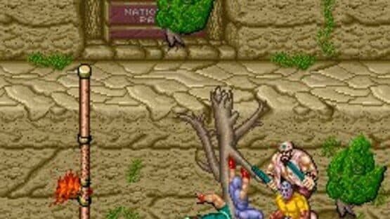 Ninja Gaiden screenshot 7