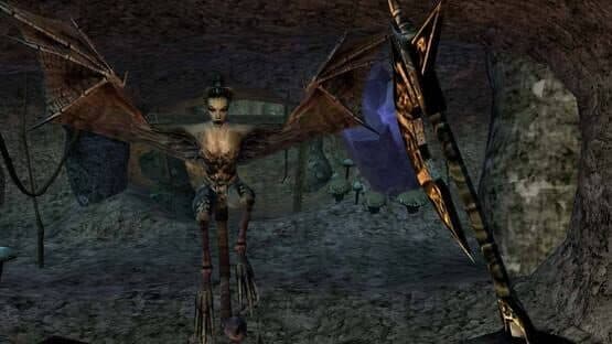 The Elder Scrolls III: Morrowind - Game of the Year Edition screenshot 5