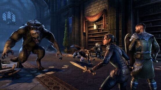 The Elder Scrolls Online screenshot 11