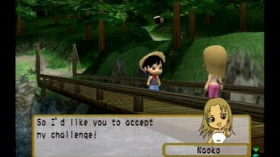 River King: A Wonderful Journey screenshot 1