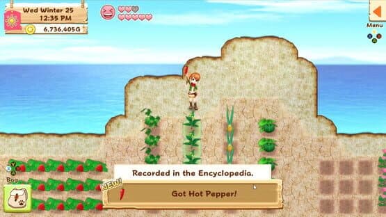 Harvest Moon: Light of Hope screenshot 4