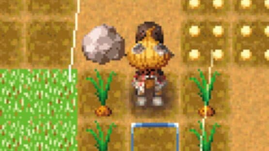 Rune Factory: A Fantasy Harvest Moon screenshot 9