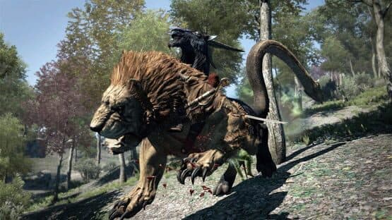 Dragon's Dogma: Dark Arisen screenshot 9