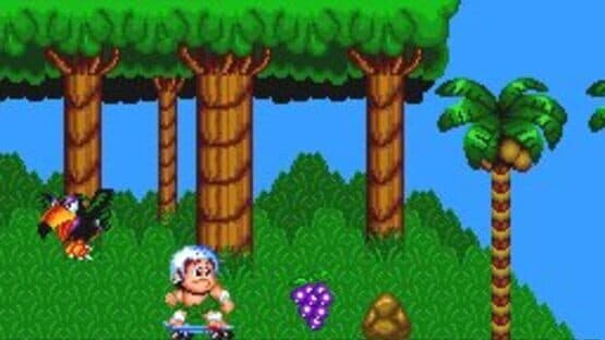New Adventure Island screenshot 2