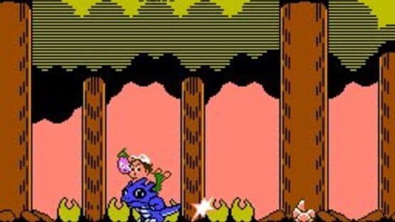 Adventure Island II screenshot 5