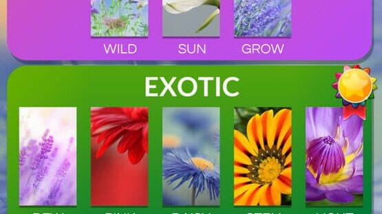 Word Flowers screenshot 5