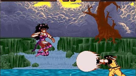 Shadow Fighter screenshot 3