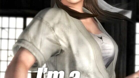 Dead or Alive 5 artwork 9