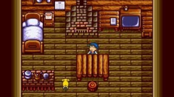 Harvest Moon screenshot 12