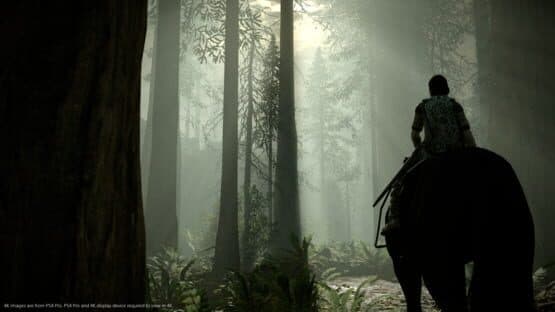 Shadow of the Colossus screenshot 10