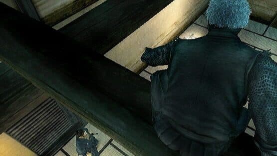 Tenchu: Shadow Assassins screenshot 3