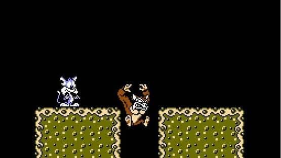 Tiny Toon Adventures screenshot 3