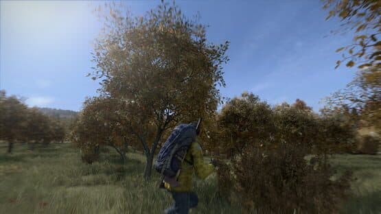 DayZ screenshot 2