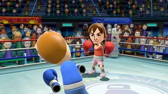 Wii Sports Club: Baseball + Boxing screenshot 5