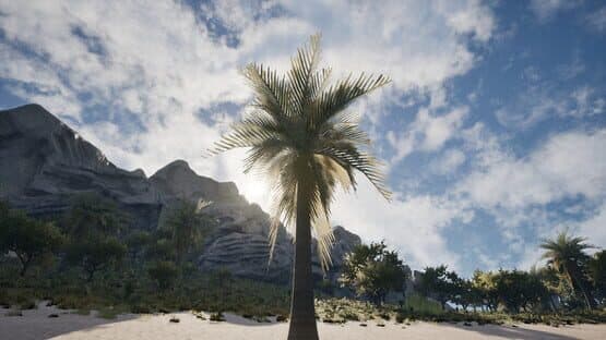 Palm Simulator 2 screenshot 2