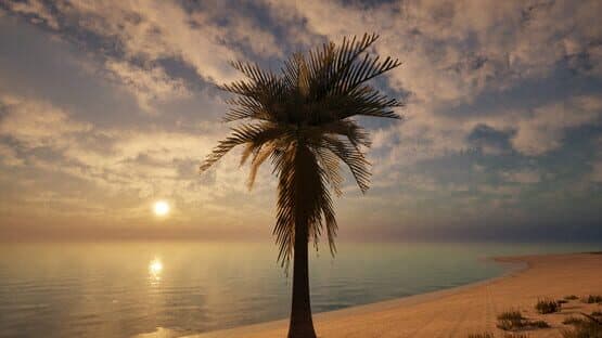 Palm Simulator 2 screenshot 3